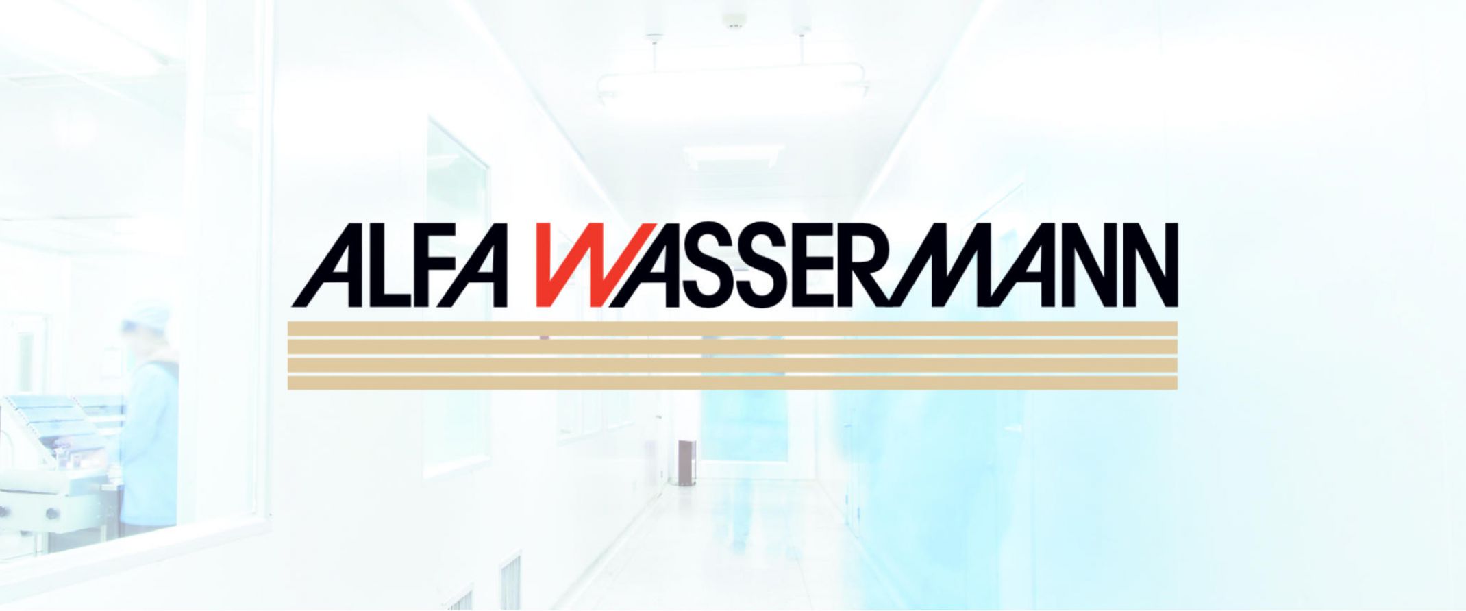 Alfa Wasserman web development